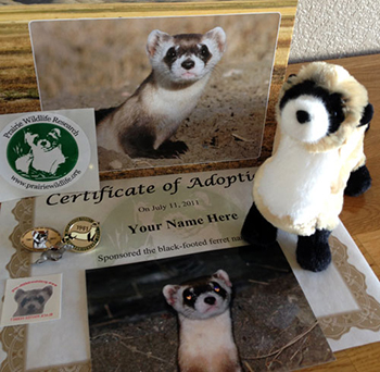BFF Prize Package